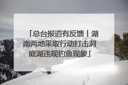 总台报道有反馈丨湖南两地采取行动打击洞庭湖违规钓鱼现象