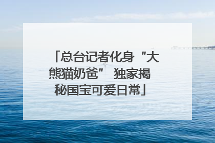 总台记者化身“大熊猫奶爸” 独家揭秘国宝可爱日常