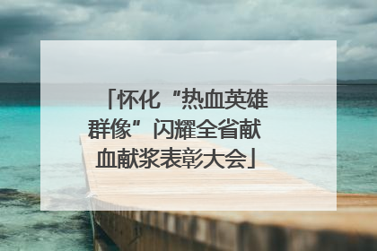 怀化“热血英雄群像”闪耀全省献血献浆表彰大会