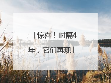 惊喜！时隔4年，它们再现