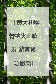 意大利埃特纳火山喷发 游客紧急撤离