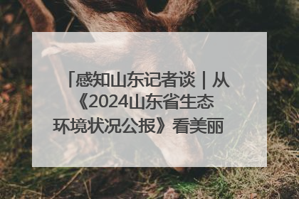 感知山东记者谈｜从《2024山东省生态环境状况公报》看美丽山东建设的“成绩单”与“任务书”