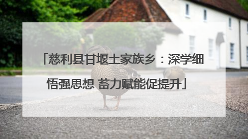 慈利县甘堰土家族乡：深学细悟强思想 蓄力赋能促提升