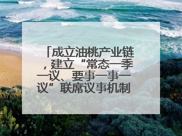 成立油桃产业链，建立“常态一季一议、要事一事一议”联席议事机制，山东省日照市莒县果庄镇——13个党小组“全周期”育果