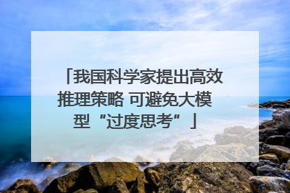 我国科学家提出高效推理策略 可避免大模型“过度思考”