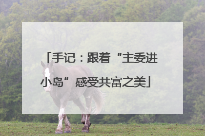 手记：跟着“主委进小岛”感受共富之美