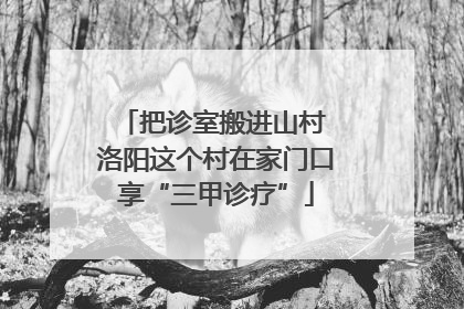 把诊室搬进山村 洛阳这个村在家门口享“三甲诊疗”