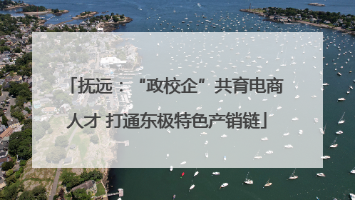 抚远：“政校企”共育电商人才 打通东极特色产销链