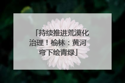 持续推进荒漠化治理！榆林：黄河弯下绘青绿