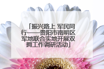 振兴路上 军民同行——贵阳市南明区军地联合实地开展双拥工作调研活动