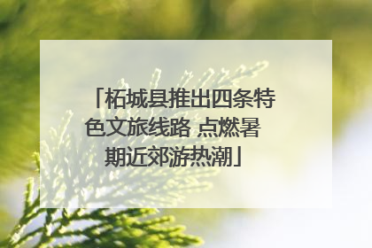 柘城县推出四条特色文旅线路 点燃暑期近郊游热潮
