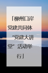 柳州口岸党建共同体“党建大讲堂”活动举行