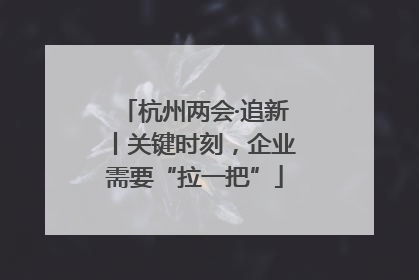 杭州两会·追新丨关键时刻，企业需要“拉一把”