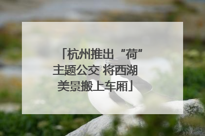 杭州推出“荷”主题公交 将西湖美景搬上车厢