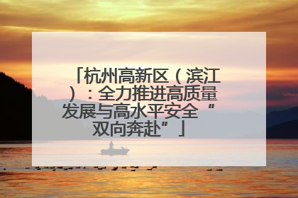 杭州高新区（滨江）：全力推进高质量发展与高水平安全“双向奔赴”
