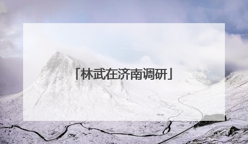 林武在济南调研