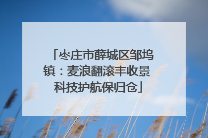 枣庄市薛城区邹坞镇：麦浪翻滚丰收景 科技护航保归仓