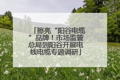 擦亮“阳谷电缆”品牌！市场监管总局到阳谷开展电线电缆专题调研