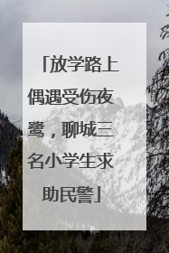 放学路上偶遇受伤夜鹭，聊城三名小学生求助民警