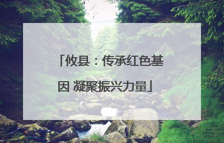 攸县：传承红色基因 凝聚振兴力量