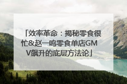 效率革命：揭秘零食很忙&赵一鸣零食单店GMV飙升的底层方法论