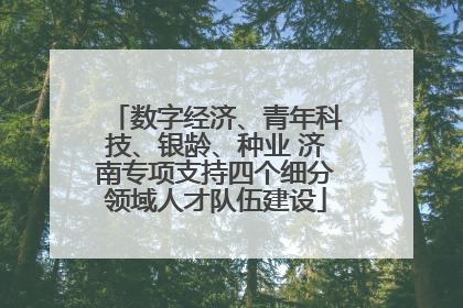 数字经济、青年科技、银龄、种业 济南专项支持四个细分领域人才队伍建设