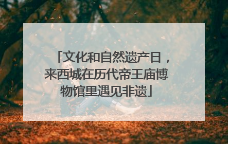 文化和自然遗产日，来西城在历代帝王庙博物馆里遇见非遗