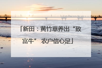 新田：黄竹草养出“致富牛” 农户信心足