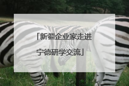 新疆企业家走进宁德研学交流