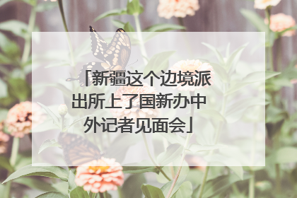 新疆这个边境派出所上了国新办中外记者见面会