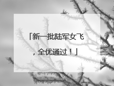 新一批陆军女飞，全优通过！