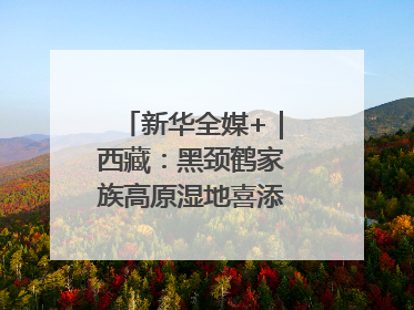 新华全媒+｜西藏：黑颈鹤家族高原湿地喜添“萌宝”
