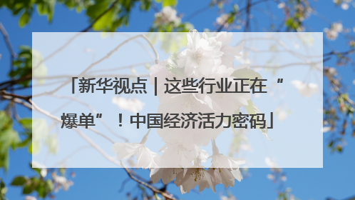 新华视点｜这些行业正在“爆单”！中国经济活力密码