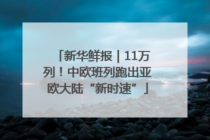 新华鲜报｜11万列！中欧班列跑出亚欧大陆“新时速”