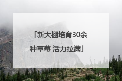 新大棚培育30余种草莓 活力拉满