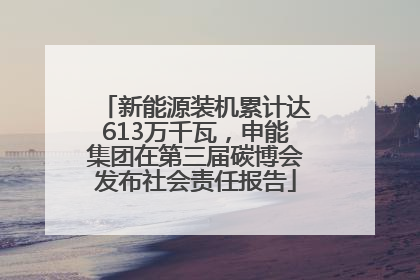 新能源装机累计达613万千瓦，申能集团在第三届碳博会发布社会责任报告