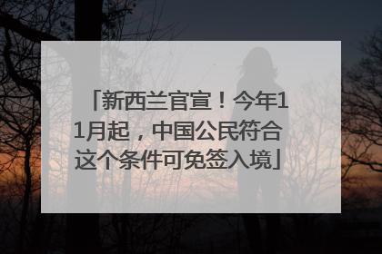 新西兰官宣！今年11月起，中国公民符合这个条件可免签入境