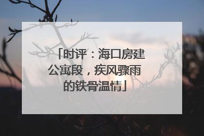时评：海口房建公寓段，疾风骤雨的铁骨温情