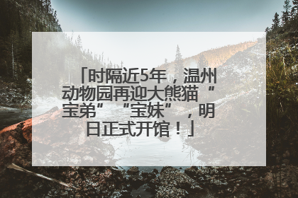 时隔近5年，温州动物园再迎大熊猫“宝弟”“宝妹”，明日正式开馆！