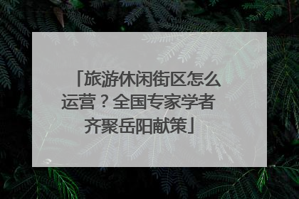 旅游休闲街区怎么运营？全国专家学者齐聚岳阳献策