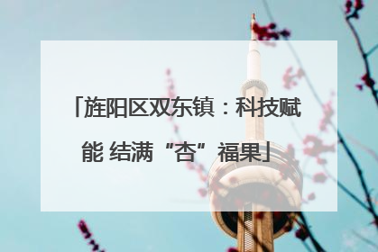 旌阳区双东镇：科技赋能 结满“杏”福果