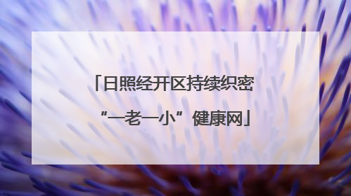 日照经开区持续织密“一老一小”健康网