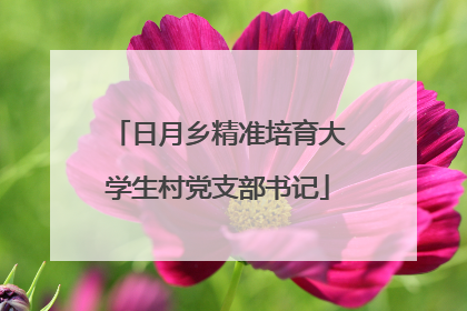 日月乡精准培育大学生村党支部书记