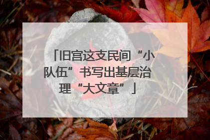 旧宫这支民间“小队伍”书写出基层治理“大文章”
