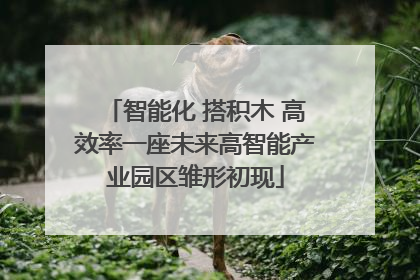 智能化 搭积木 高效率一座未来高智能产业园区雏形初现
