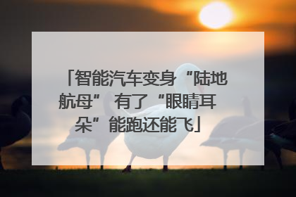 智能汽车变身“陆地航母” 有了“眼睛耳朵”能跑还能飞