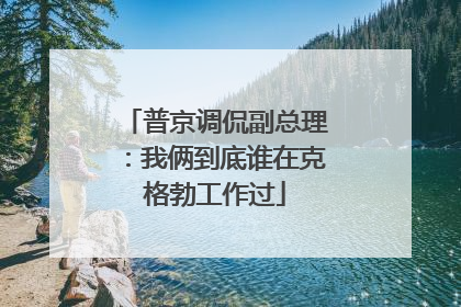 普京调侃副总理：我俩到底谁在克格勃工作过