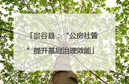 景谷县：“公房社管”提升基层治理效能