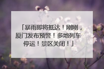 暴雨即将抵达！刚刚，厦门发布预警！多地列车停运！景区关闭！