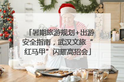 暑期旅游规划+出游安全指南，武汉文旅“红马甲”闪耀高招会